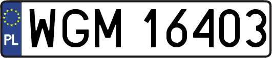 WGM16403