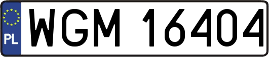 WGM16404