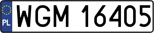 WGM16405
