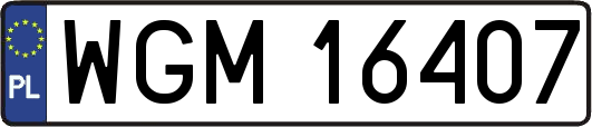 WGM16407