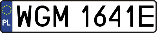 WGM1641E