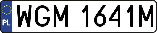 WGM1641M