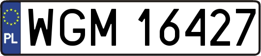 WGM16427