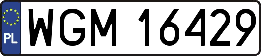 WGM16429