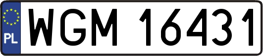 WGM16431