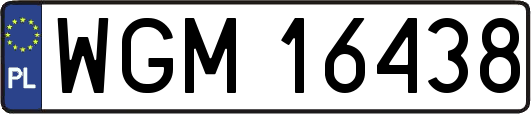 WGM16438