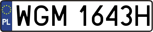 WGM1643H