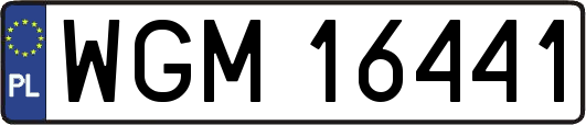 WGM16441