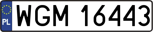 WGM16443