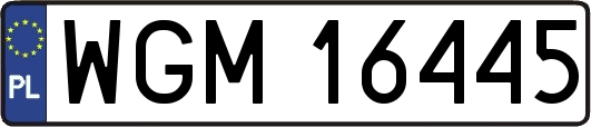 WGM16445