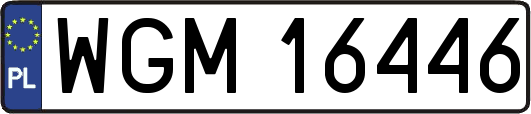 WGM16446