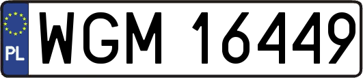 WGM16449