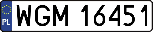 WGM16451