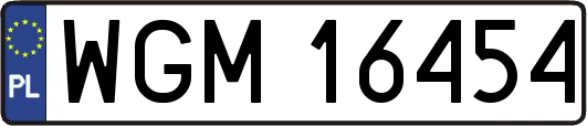 WGM16454