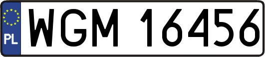 WGM16456