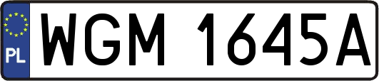 WGM1645A