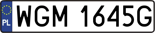 WGM1645G