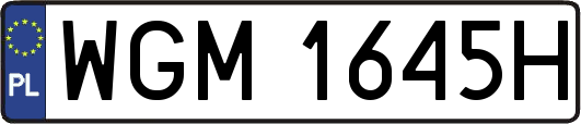 WGM1645H