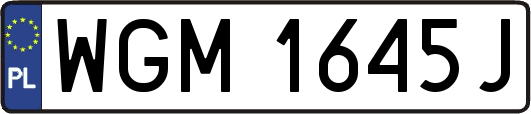 WGM1645J