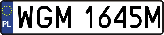 WGM1645M
