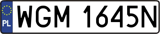 WGM1645N