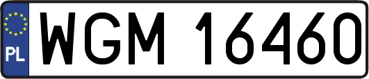 WGM16460