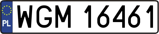 WGM16461