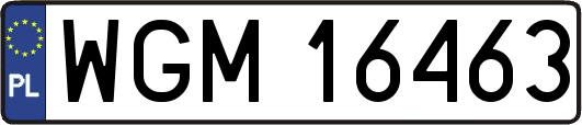 WGM16463