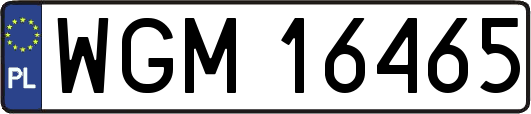 WGM16465