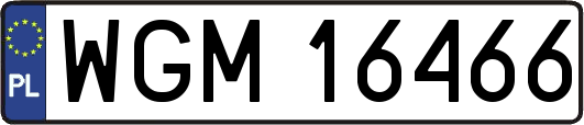 WGM16466