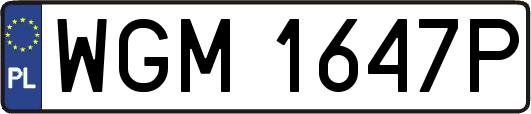 WGM1647P
