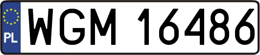 WGM16486