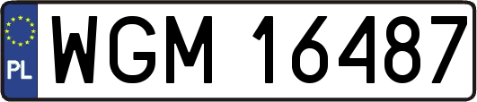 WGM16487