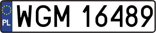 WGM16489