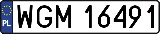 WGM16491