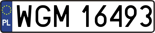 WGM16493