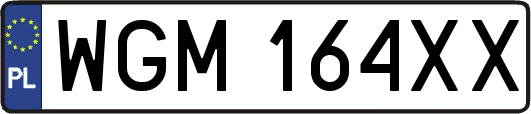 WGM164XX