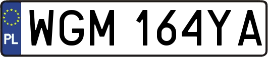 WGM164YA