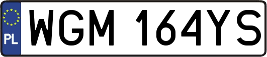 WGM164YS
