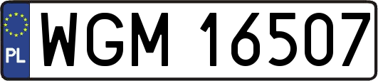 WGM16507