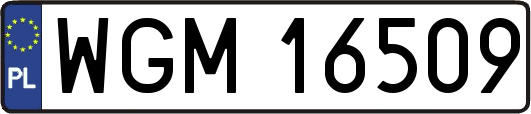 WGM16509