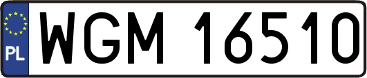 WGM16510