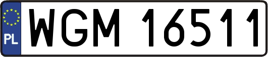 WGM16511