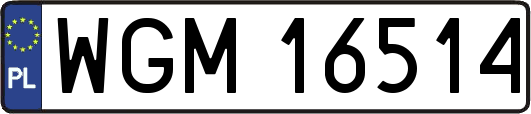 WGM16514
