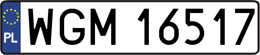 WGM16517