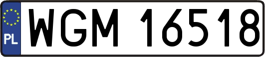 WGM16518