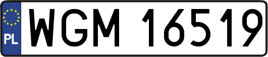 WGM16519
