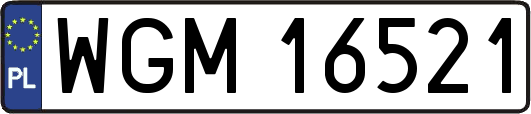 WGM16521