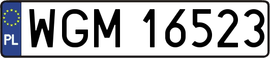 WGM16523