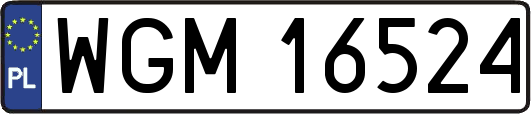 WGM16524